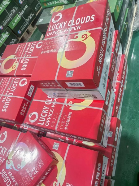 靜電復印紙10