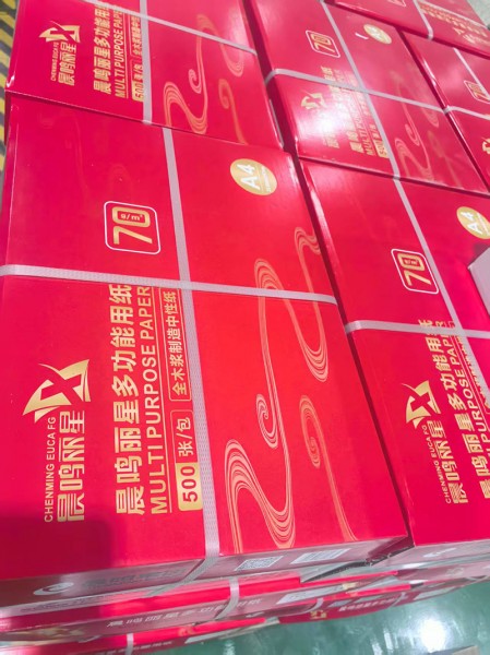 靜電復印紙4