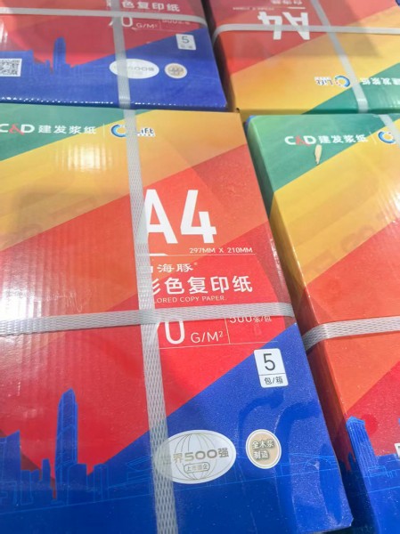 靜電復印紙6